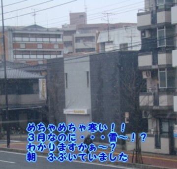22.3.10.jpg