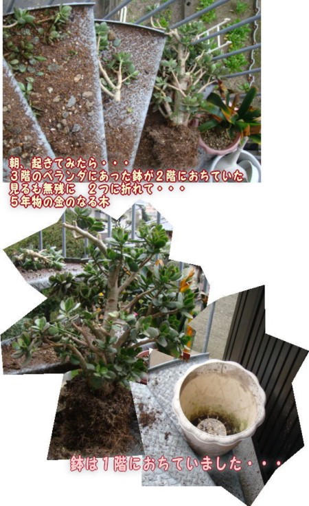22.3.10A.jpg