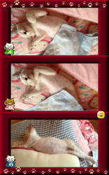 21日ブログ@.jpg